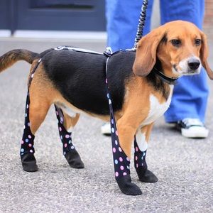 ADJUSTABLE fit Confetti Leggings (wider leg opening with drawstring elastic)